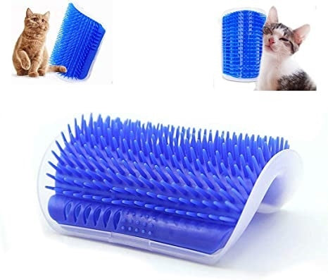 Hörnborste för katt, Blå