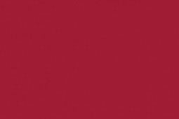 Akrylbaserad färg Bright Red 22ml