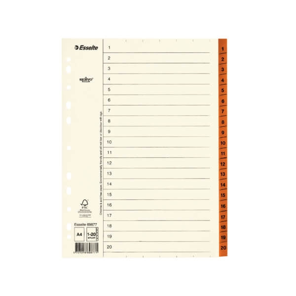 ESSELTE Register Servo A4/1-20 Brun