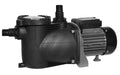 Swim & Fun Cirkulationspump för Pooler 300W