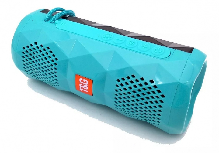 TG-167 Bluetooth-högtalare 5W med coola LED-ljuseffekter och dubbel bas, Turkos i gruppen HEMELEKTRONIK / Ljud & Bild / Högtalare & Tillbehör / Bluetooth-högtalare / Bärbara högtalare hos TP E-commerce Nordic AB (38-84408)