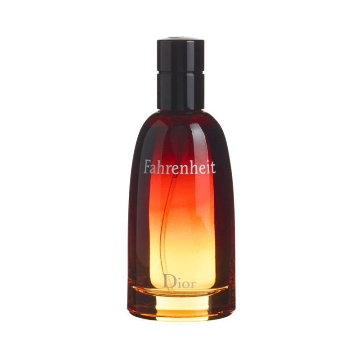 Dior Fahrenheit Edt 100ml i gruppen SKÖNHET & HÄLSA / Doft & Parfym / Parfym / Parfym för honom hos TP E-commerce Nordic AB (C05925)