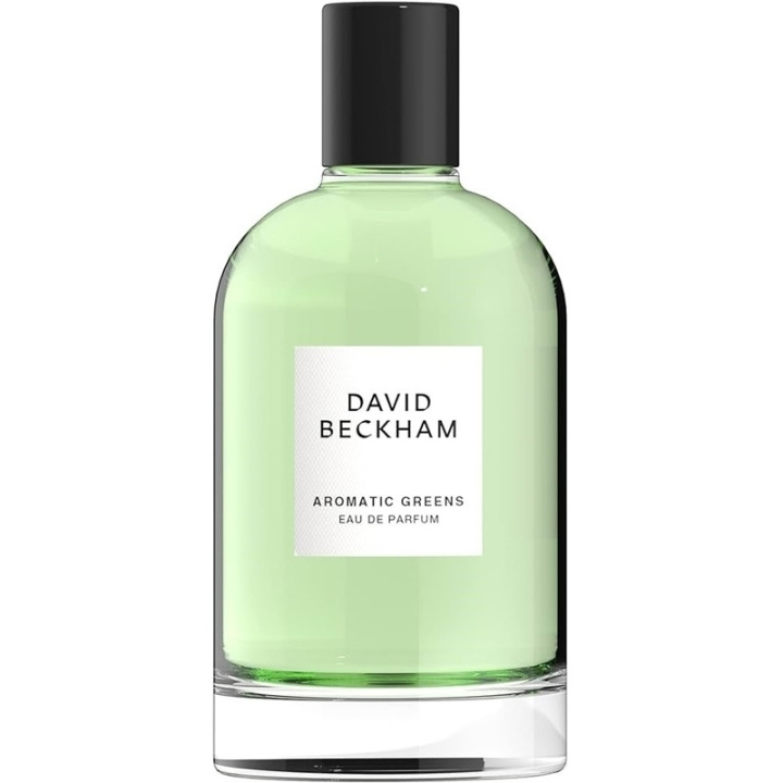 David Beckham Aromatic Greens Edp 100ml i gruppen SKÖNHET & HÄLSA / Doft & Parfym / Parfym / Parfym för honom hos TP E-commerce Nordic AB (C51933)