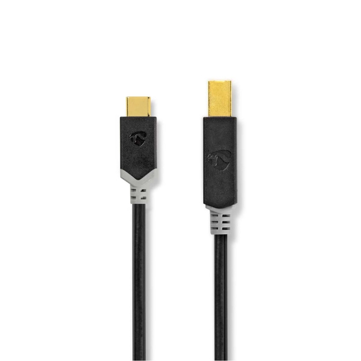Nedis USB-kabel | USB 2.0 | USB-C™ Hane | USB-B Hane | 15 W | 480 Mbps | Guldplaterad | 2.00 m | Rund | PVC | Antracit | Låda i gruppen DATORER & KRINGUTRUSTNING / Datorkablar / USB-kablar / USB-C hos TP E-commerce Nordic AB (C66066)
