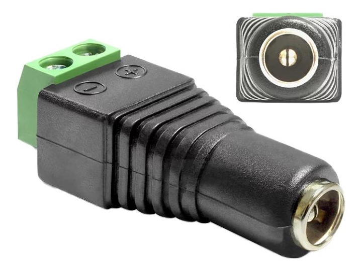 DeLOCK Adapter DC 5.5 x 2.1 mm female > Terminal Block 2 pin i gruppen HEM, HUSHÅLL & TRÄDGÅRD / El & Belysning / Elinstallation / Övriga el-tillbehör hos TP E-commerce Nordic AB (C70627)