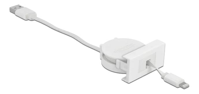 DeLOCK Easy 45 Module USB 2.0 Cable USB Type-A to 8 Pin Lightning i gruppen SMARTPHONE & SURFPLATTOR / Laddare & Kablar / Adaptrar hos TP E-commerce Nordic AB (C70659)
