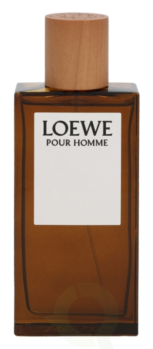 Loewe Pour Homme Edt Spray 100 ml i gruppen SKÖNHET & HÄLSA / Doft & Parfym / Parfym / Parfym för honom hos TP E-commerce Nordic AB (C72606)