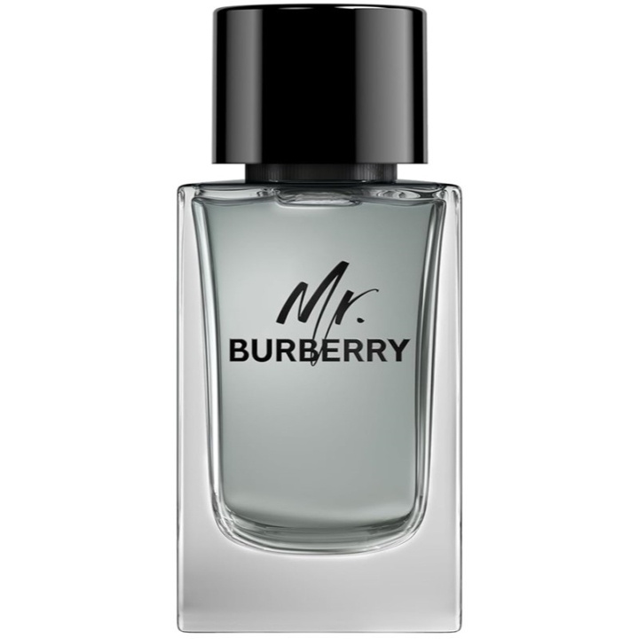 Burberry Mr Burberry Edt 100ml i gruppen SKÖNHET & HÄLSA / Doft & Parfym / Parfym / Parfym för honom hos TP E-commerce Nordic AB (C74760)