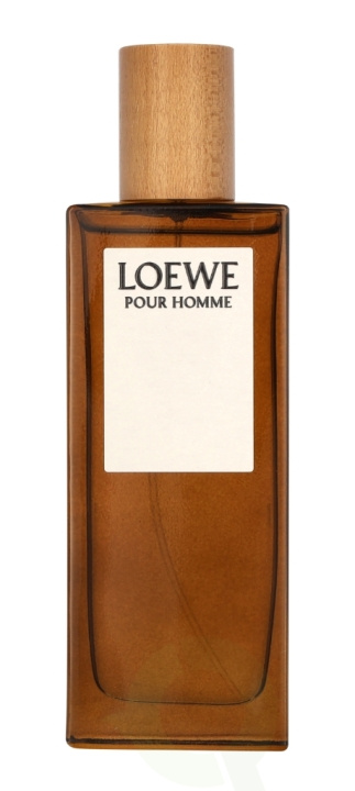 Loewe Pour Homme Edt Spray 50 ml i gruppen SKÖNHET & HÄLSA / Doft & Parfym / Parfym / Parfym för honom hos TP E-commerce Nordic AB (C76878)