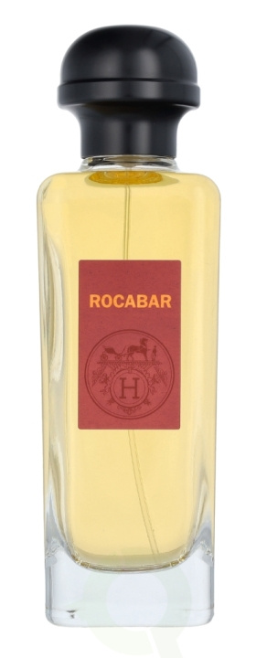 Hermes Rocabar Edt Spray 100 ml i gruppen SKÖNHET & HÄLSA / Doft & Parfym / Parfym / Parfym för honom hos TP E-commerce Nordic AB (C77025)