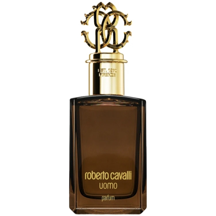 Roberto Cavalli Uomo Edp 100ml i gruppen SKÖNHET & HÄLSA / Doft & Parfym / Parfym / Parfym för honom hos TP E-commerce Nordic AB (C78983)