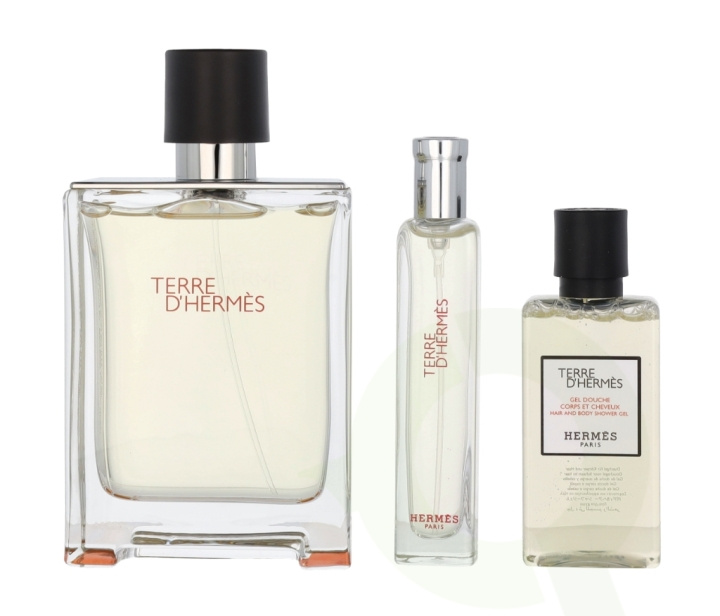 Hermes Terre D\'Hermes Giftset 155 ml Edt Spray 100/Edt Spray 15ml/Hair and Body Shower Gel i gruppen SKÖNHET & HÄLSA / Presentkit / Presentkit För Honom hos TP E-commerce Nordic AB (C79028)