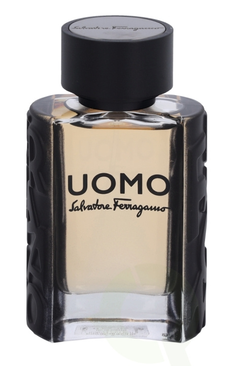 Ferragamo S. Ferragamo Uomo Pour Homme Edt Spray 30 ml i gruppen SKÖNHET & HÄLSA / Doft & Parfym / Parfym / Parfym för honom hos TP E-commerce Nordic AB (C79123)