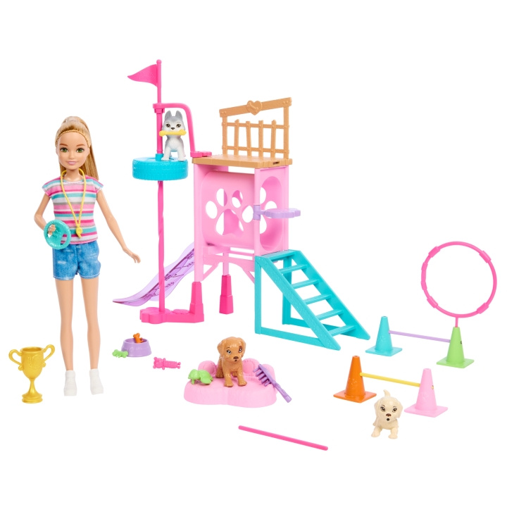 Barbie Stacie\'s valp lekplats lekset (HRM10) i gruppen LEKSAKER, BARN- & BABYPRODUKTER / Leksaker / Dockor & Tillbehör hos TP E-commerce Nordic AB (C80818)