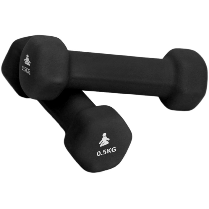 Fitpaddy Premium Dumbbells 2 x 0.5 kg i gruppen SPORT, FRITID & HOBBY / Träningsredskap / Träningsredskap & tillbehör hos TP E-commerce Nordic AB (C82840)