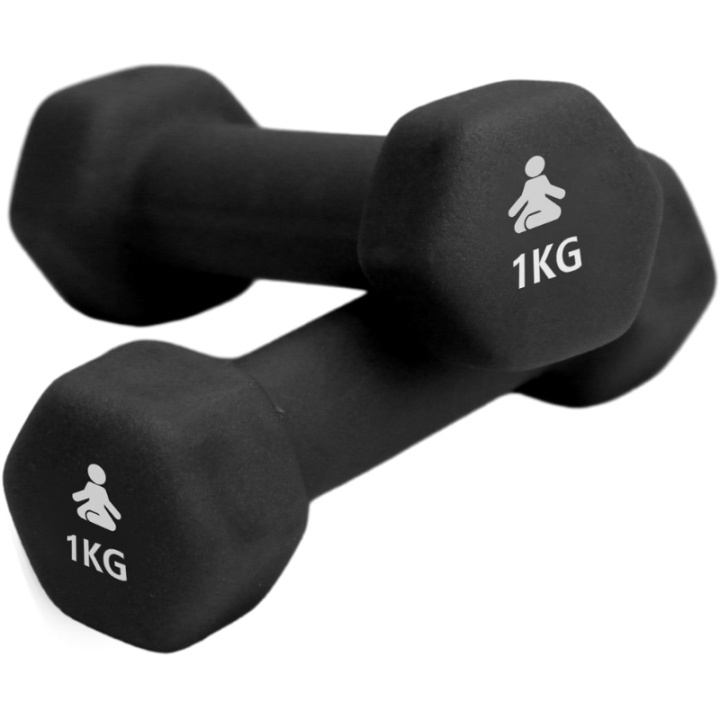 Fitpaddy Premium Dumbbells 2 x 1 kg i gruppen SPORT, FRITID & HOBBY / Träningsredskap / Träningsredskap & tillbehör hos TP E-commerce Nordic AB (C82841)