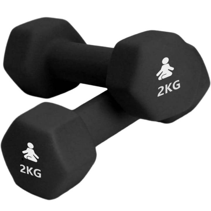 Fitpaddy Premium Dumbbells 2 x 2 kg i gruppen SPORT, FRITID & HOBBY / Träningsredskap / Träningsredskap & tillbehör hos TP E-commerce Nordic AB (C82842)