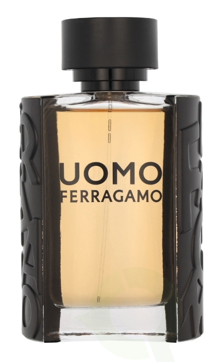 Ferragamo S. Ferragamo Uomo Pour Homme Edt Spray 100 ml i gruppen SKÖNHET & HÄLSA / Doft & Parfym / Parfym / Parfym för honom hos TP E-commerce Nordic AB (C82920)