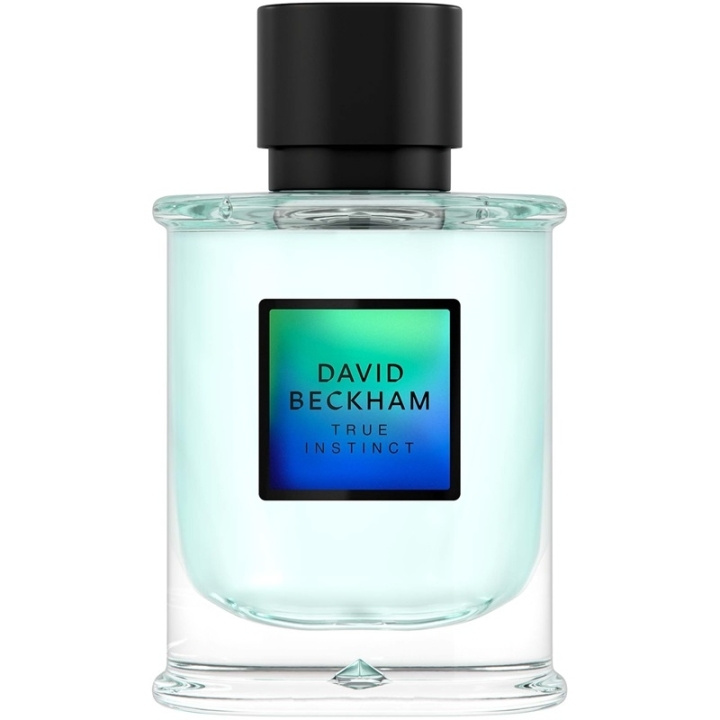 David Beckham True Instinct Edp 75ml i gruppen SKÖNHET & HÄLSA / Doft & Parfym / Parfym / Parfym för honom hos TP E-commerce Nordic AB (C84934)