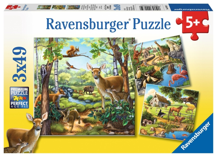 Ravensburger Skog/zoo/djur - 3x49p - 09265 i gruppen LEKSAKER, BARN- & BABYPRODUKTER / Leksaker / Barnpussel hos TP E-commerce Nordic AB (C85776)