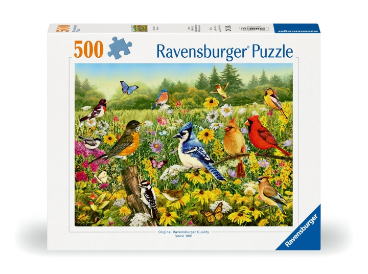 Ravensburger Pussel Fåglar på ängen 500p (12000336) i gruppen LEKSAKER, BARN- & BABYPRODUKTER / Leksaker / Barnpussel hos TP E-commerce Nordic AB (C86444)