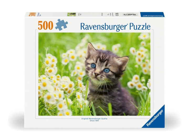 Ravensburger Pussel Kattunge på ängen 500p (12000367) i gruppen LEKSAKER, BARN- & BABYPRODUKTER / Leksaker / Barnpussel hos TP E-commerce Nordic AB (C86450)