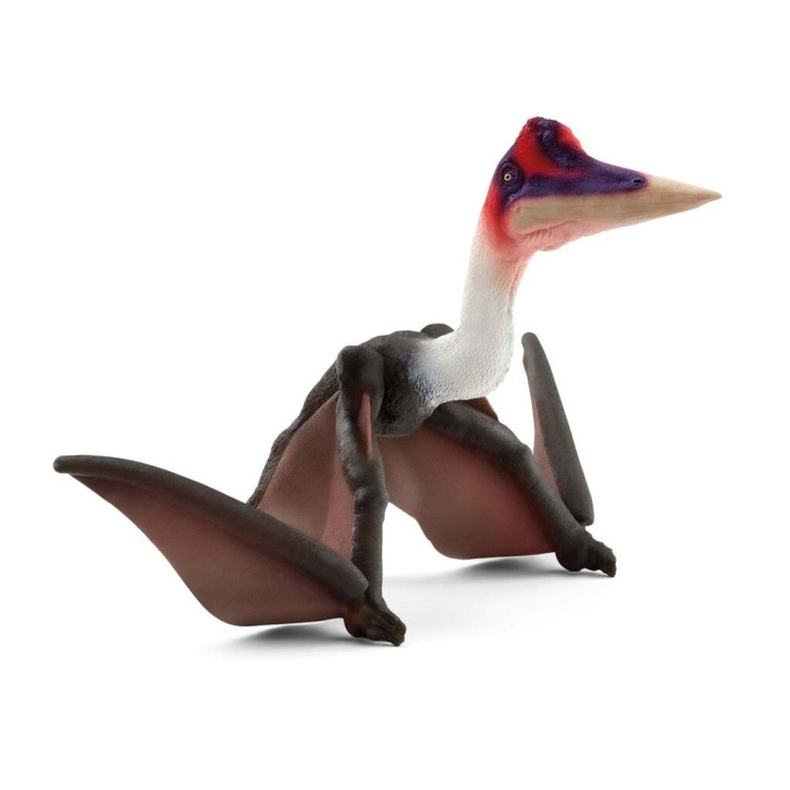 Schleich Dinosaurier - Quetzalcoatlus (15028) i gruppen LEKSAKER, BARN- & BABYPRODUKTER / Leksaker / Figurer, Miniatyrer & tillbehör hos TP E-commerce Nordic AB (C87602)