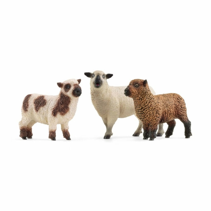 Schleich Farm World - Fårens vänner (42660) i gruppen LEKSAKER, BARN- & BABYPRODUKTER / Leksaker / Figurer, Miniatyrer & tillbehör hos TP E-commerce Nordic AB (C87712)