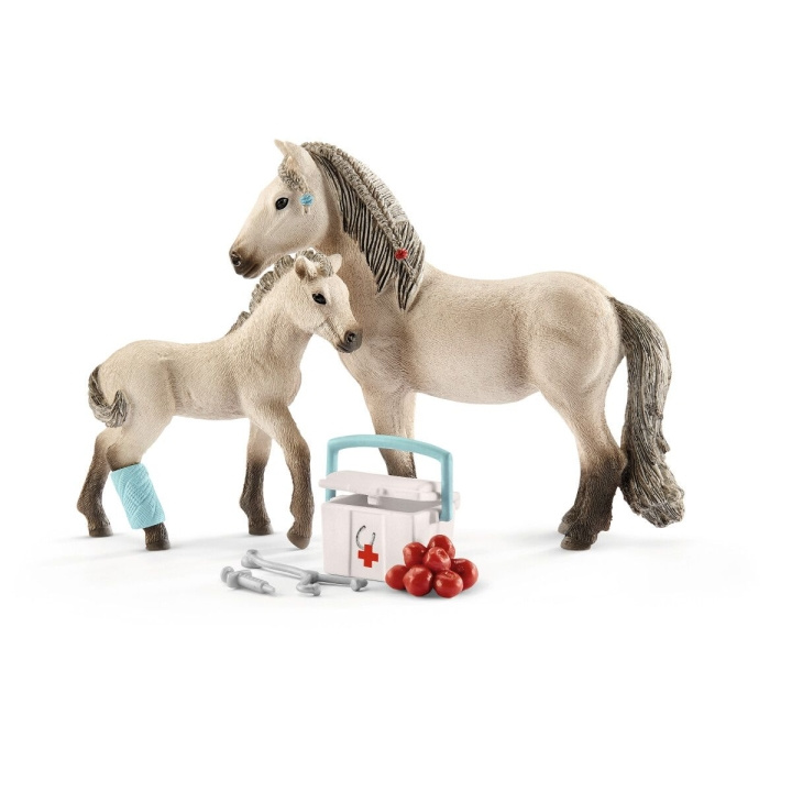 Schleich Horse Club - Hannahs första hjälpen-kit (42430) i gruppen LEKSAKER, BARN- & BABYPRODUKTER / Leksaker / Figurer, Miniatyrer & tillbehör hos TP E-commerce Nordic AB (C87749)