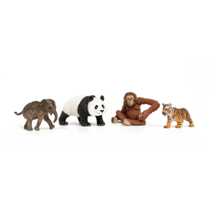 Schleich Wild Life - Asien Startset (42736) i gruppen LEKSAKER, BARN- & BABYPRODUKTER / Leksaker / Lekset hos TP E-commerce Nordic AB (C87908)