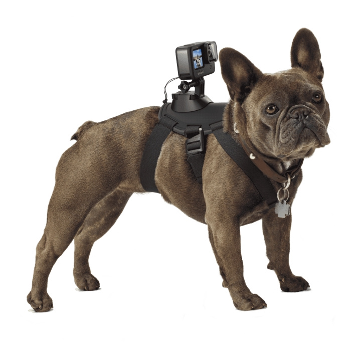 GoPro Fetch - Dog Harness i gruppen SPORT, FRITID & HOBBY / Actionkameror & Tillbehör / Tillbehör till actionkameror hos TP E-commerce Nordic AB (C94468)