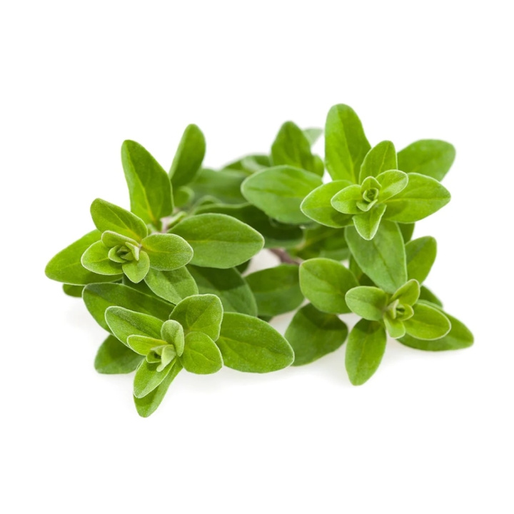 Click & Grow - Smart Garden Refill 3-pack Marjoram i gruppen SPORT, FRITID & HOBBY / Roliga prylar / Smarta saker hos TP E-commerce Nordic AB (C94639)