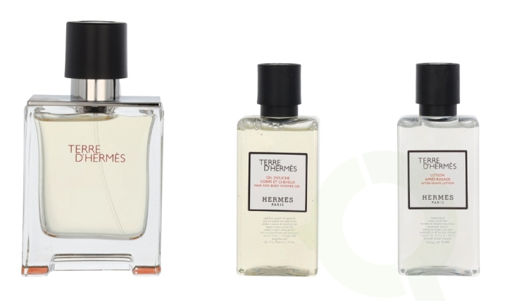 Hermes Terre D\'Hermes Giftset 130 ml Edt Spray 50ml/Shower Gel 40ml/Body Lotion 40ml i gruppen SKÖNHET & HÄLSA / Presentkit / Presentkit För Honom hos TP E-commerce Nordic AB (C95005)