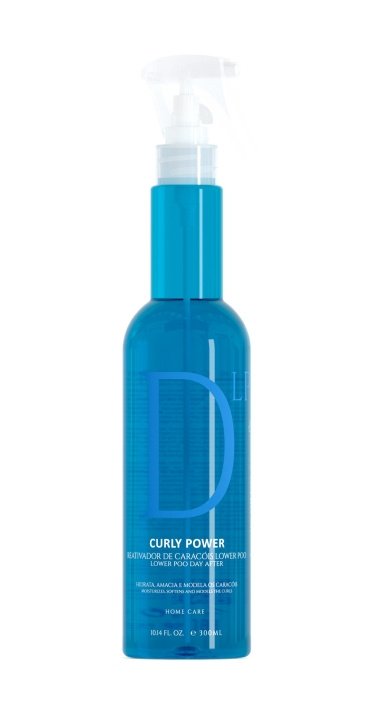 EVAN Curly Power Day After Curl Reactivator Lower Poo Spray 300 ml i gruppen SKÖNHET & HÄLSA / Hår & Styling / Hårvårdsprodukter hos TP E-commerce Nordic AB (C96701)