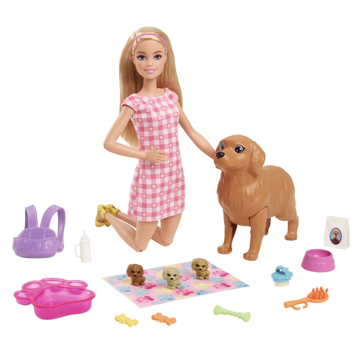 Barbie Docka och nyfödda valpar lekset (HCK75) i gruppen LEKSAKER, BARN- & BABYPRODUKTER / Leksaker / Dockor & Tillbehör hos TP E-commerce Nordic AB (C97101)