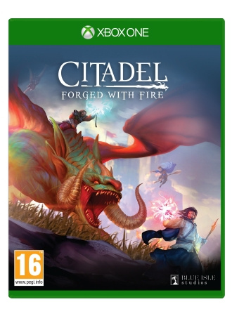 Virtual Basement Citadel: Smidd med eld i gruppen HEMELEKTRONIK / Spelkonsoler & Tillbehör / Xbox One / Spel hos TP E-commerce Nordic AB (C98355)