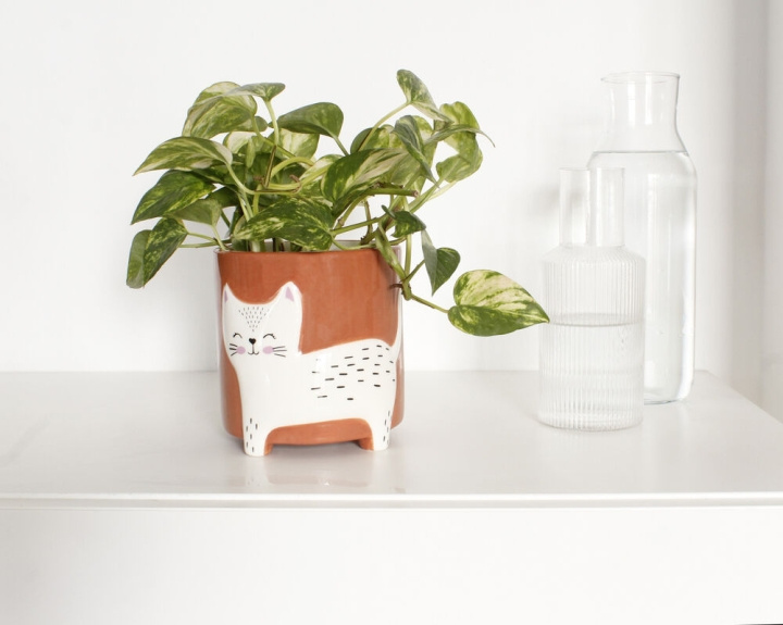 Winkee Blomkruka skål - Blomkruka katt - 13 cm i gruppen SPORT, FRITID & HOBBY / Roliga prylar / Smarta saker hos TP E-commerce Nordic AB (C98898)