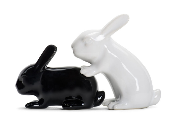 Winkee Bunny S+P Shakers - Salt- och pepparkaraffär i gruppen SPORT, FRITID & HOBBY / Roliga prylar / Smarta saker hos TP E-commerce Nordic AB (C99293)