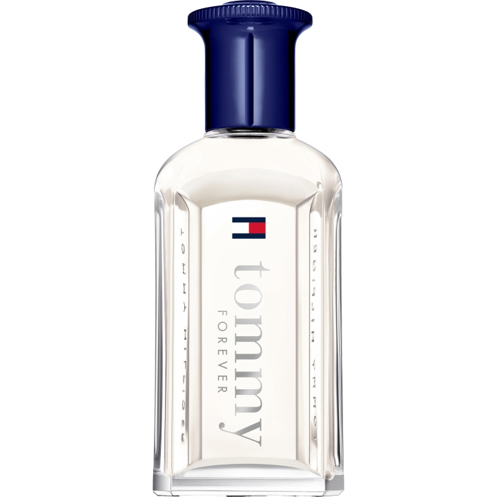 Tommy Hilfiger Tommy Forever EdT - 50 ml i gruppen SKÖNHET & HÄLSA / Doft & Parfym / Parfym / Parfym för honom hos TP E-commerce Nordic AB (D01859)