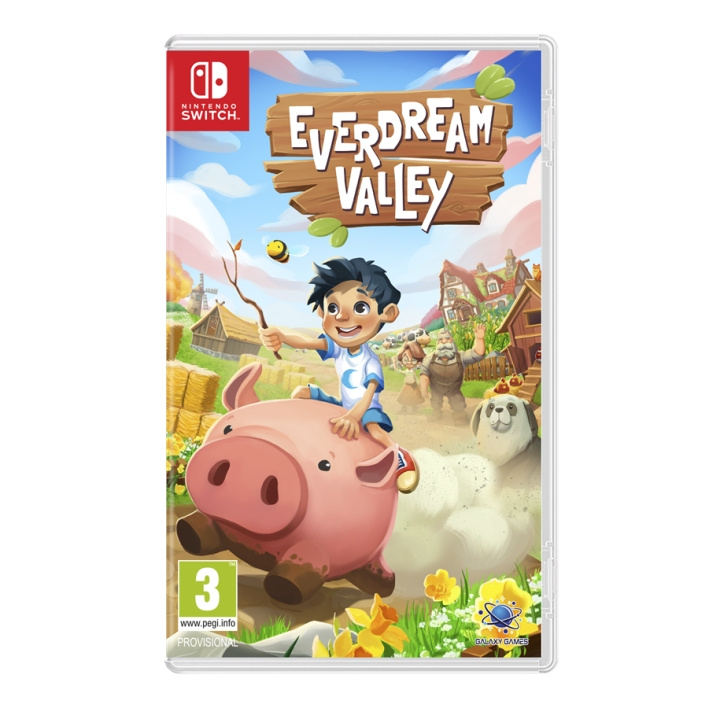 Everdream Valley (Switch) i gruppen HEMELEKTRONIK / Spelkonsoler & Tillbehör / Nintendo Switch / Spel hos TP E-commerce Nordic AB (D02802)