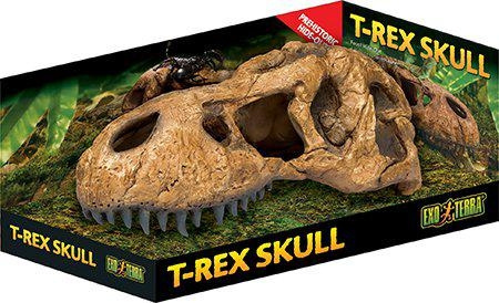 Exoterra Grotta T Rex-skalle - (222.2059) i gruppen HEM, HUSHÅLL & TRÄDGÅRD / Djurtillbehör / Tillbehör till terrarium hos TP E-commerce Nordic AB (D03864)