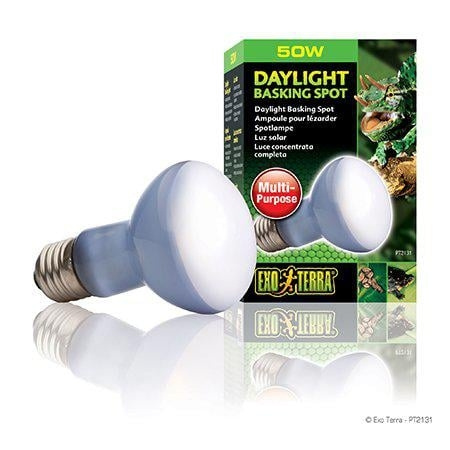 Exoterra Daylight Basking Spot 50W R20 E27 Green - (220.2710) i gruppen HEM, HUSHÅLL & TRÄDGÅRD / Djurtillbehör / Tillbehör till terrarium hos TP E-commerce Nordic AB (D03979)