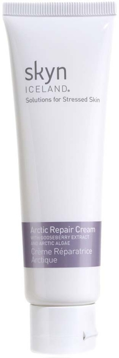 SKYN ICELAND Arctic Repair Cream 59 ml i gruppen SKÖNHET & HÄLSA / Hudvård / Ansiktsvård / Dagkräm hos TP E-commerce Nordic AB (D04242)