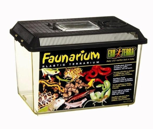 Exoterra Faunarium Medium plastterrarium 30x19,5x20,5cm i gruppen HEM, HUSHÅLL & TRÄDGÅRD / Djurtillbehör / Tillbehör till terrarium hos TP E-commerce Nordic AB (D04467)