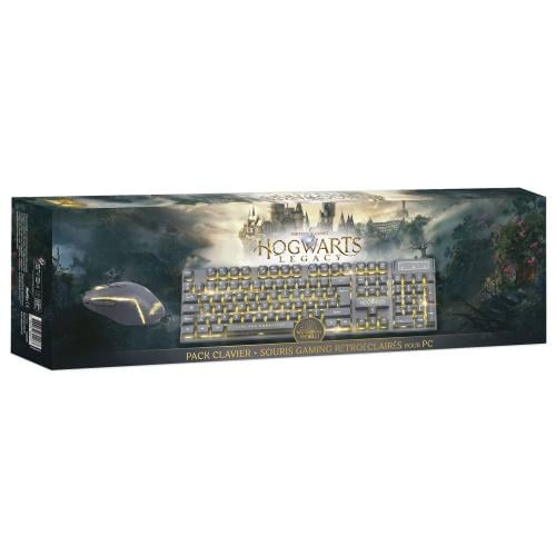 Trade Invaders Paket tangentbord + mus Harry Potter AZERTY (PS4-kompatibel) i gruppen DATORER & KRINGUTRUSTNING / Gaming / Gaming-tillbehör hos TP E-commerce Nordic AB (D07256)