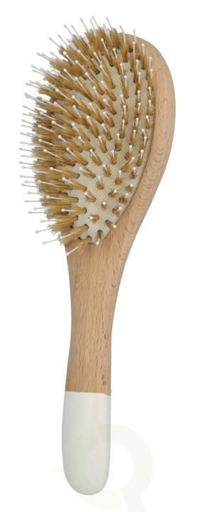 Bachca Paris Detangle & Smooth Hair Brush 1 piece Large i gruppen SKÖNHET & HÄLSA / Hår & Styling / Hårborstar & Kammar hos TP E-commerce Nordic AB (D09313)