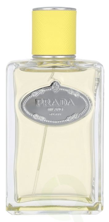 Prada Infusion D\'Ylang Edp Spray 100 ml i gruppen SKÖNHET & HÄLSA / Doft & Parfym / Parfym / Parfym för henne hos TP E-commerce Nordic AB (D09488)