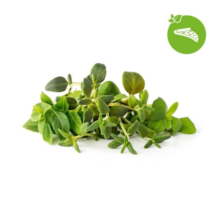 Click & Grow Smart Garden Refill 9-pack italiensk örtblandning i gruppen SPORT, FRITID & HOBBY / Roliga prylar / Smarta saker hos TP E-commerce Nordic AB (D11218)