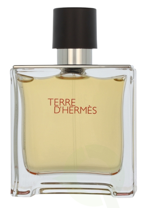 Hermes Terre D\'Hermes Edp Spray 75 ml i gruppen SKÖNHET & HÄLSA / Doft & Parfym / Parfym / Parfym för honom hos TP E-commerce Nordic AB (D11740)