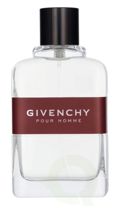 Givenchy Pour Homme Edt Spray 100 ml i gruppen SKÖNHET & HÄLSA / Doft & Parfym / Parfym / Parfym för honom hos TP E-commerce Nordic AB (D14500)